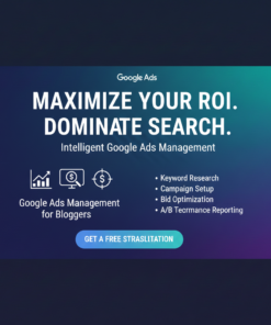 Google Ads management